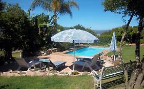 Footprints Of Knysna